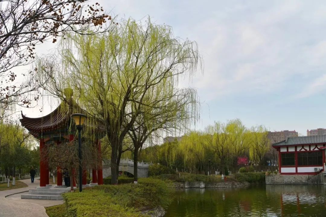 阳春三月,春和景明。春季出游,成了人们娱乐项目之一,西安高陵区的五大美景,则是春游首选的地标。 乡野踏青寻芬芳 赏花是春游必不可少的项目,高陵油菜花海位于耿镇王家滩村(渭河南岸沿线),花海无边,花香十里,遍地的油菜花,金黄夺目,弥漫着幽香,沁人心脾。无边无际的金黄,温暖醉人的阳光,莺歌燕舞,柳绿花黄,好一片人间的桃花源。人间三月好春光,乡野踏青寻芬芳。 小桥流水春色浓 春江水暖鸭先知,看春水潺潺也是春季游玩的好项目。水景公园位于西安市高陵区,占地面积79亩,是高陵最大的综合性